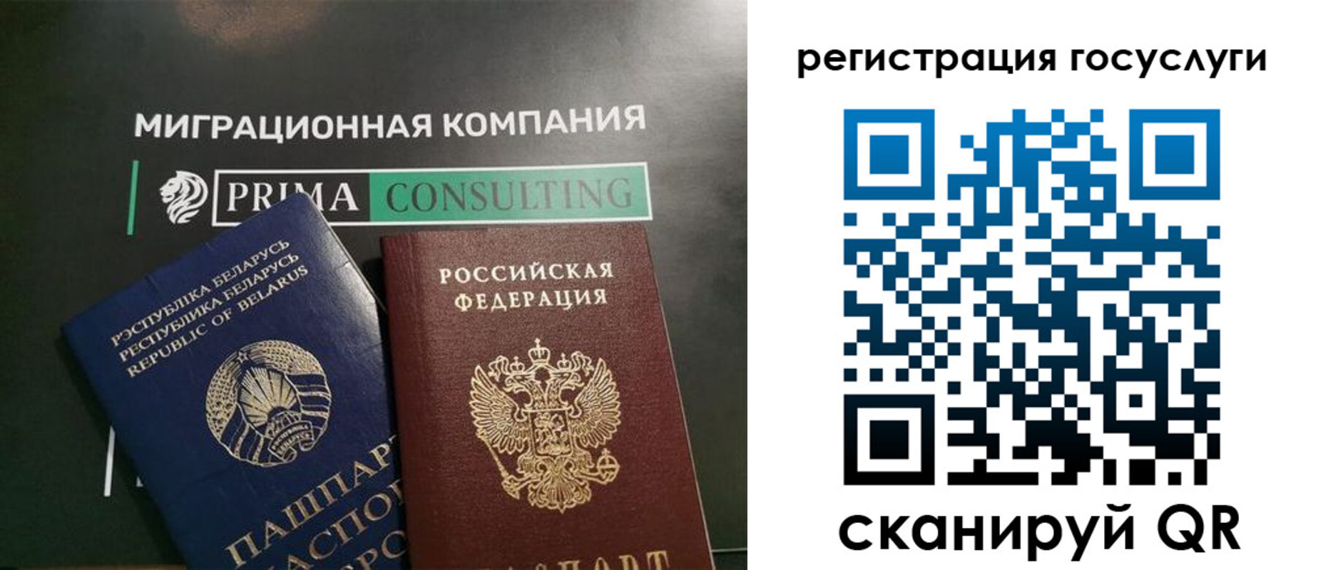 прописка гарантия в Нелидово